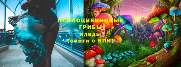 PSILOCYBIN Медвежьегорск