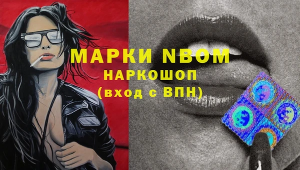 PSILOCYBIN Михайловск