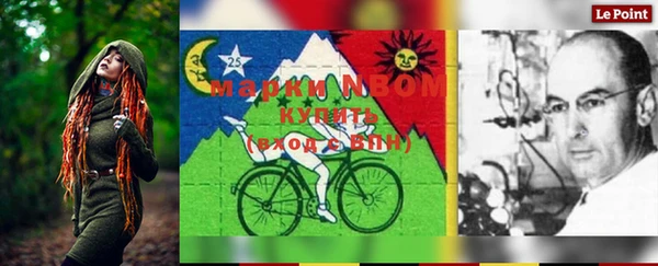 PSILOCYBIN Медвежьегорск